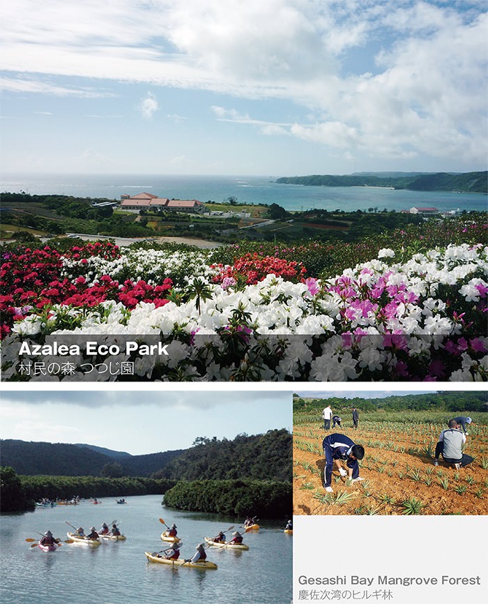 Famous viewpoint in Higashi villege,Okinawa Japan