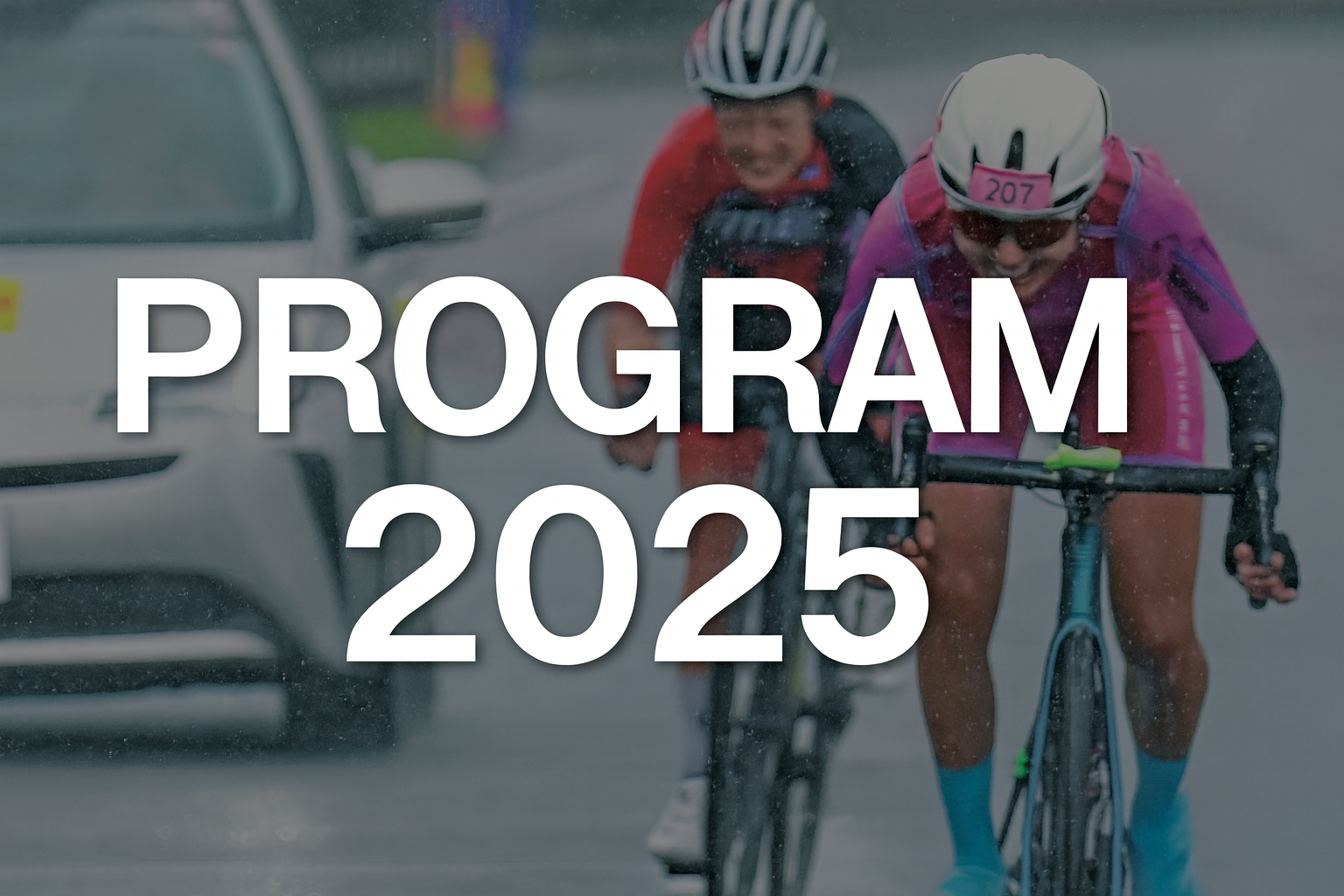 大会プログラム